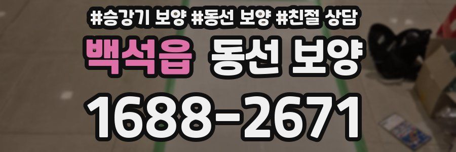 백석읍 동선 보양