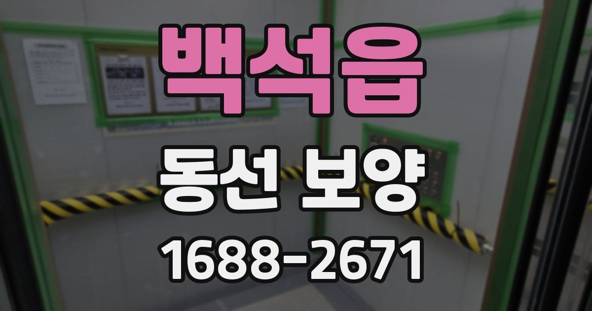 백석읍 동선 보양