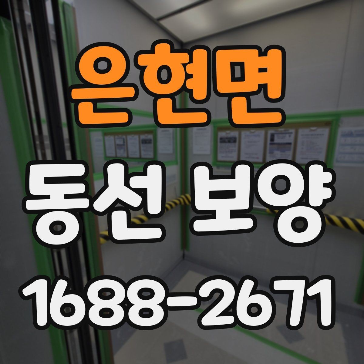 은현면 동선 보양 비용 견적을 볼 때 확인할 항목