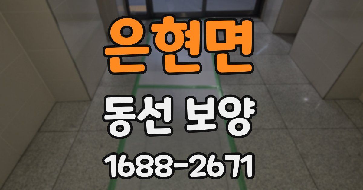 은현면 동선 보양