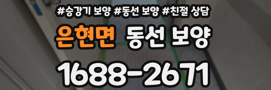 은현면 동선 보양