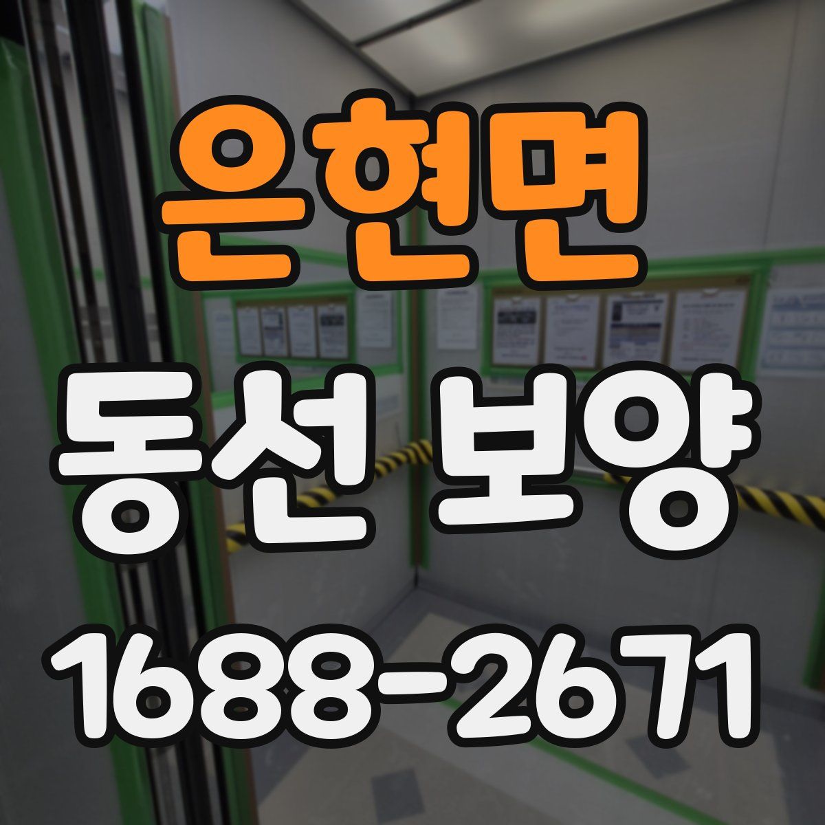 은현면 동선 보양