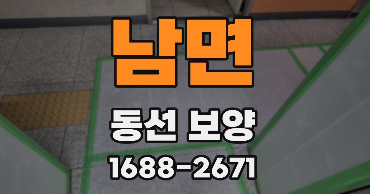 남면 동선 보양