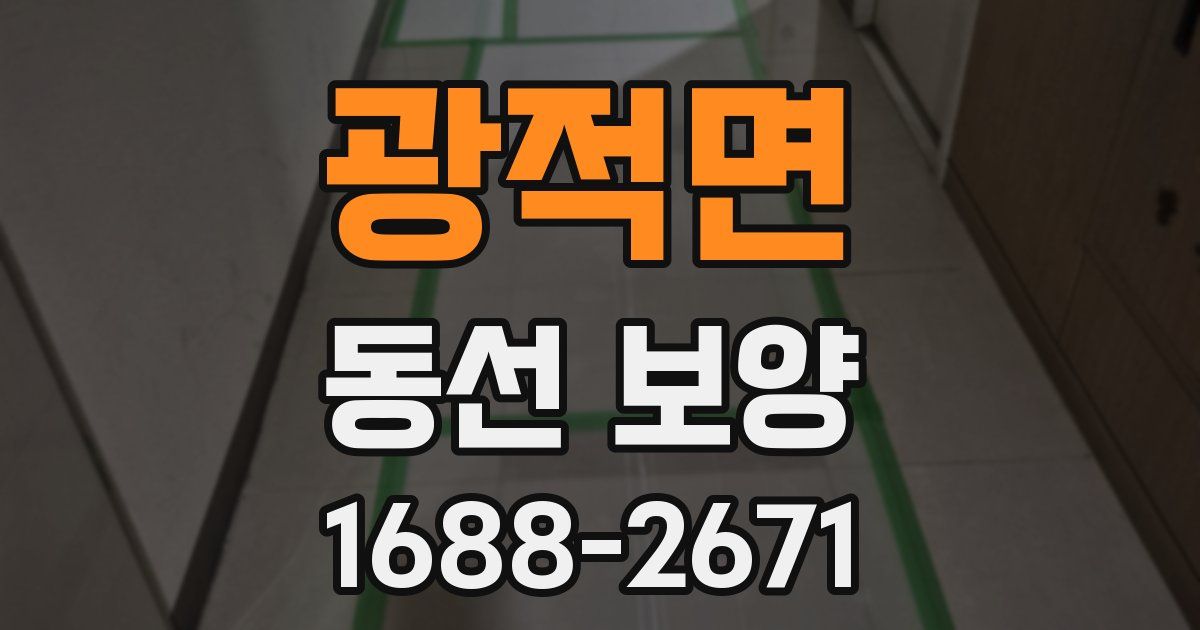 광적면 동선 보양