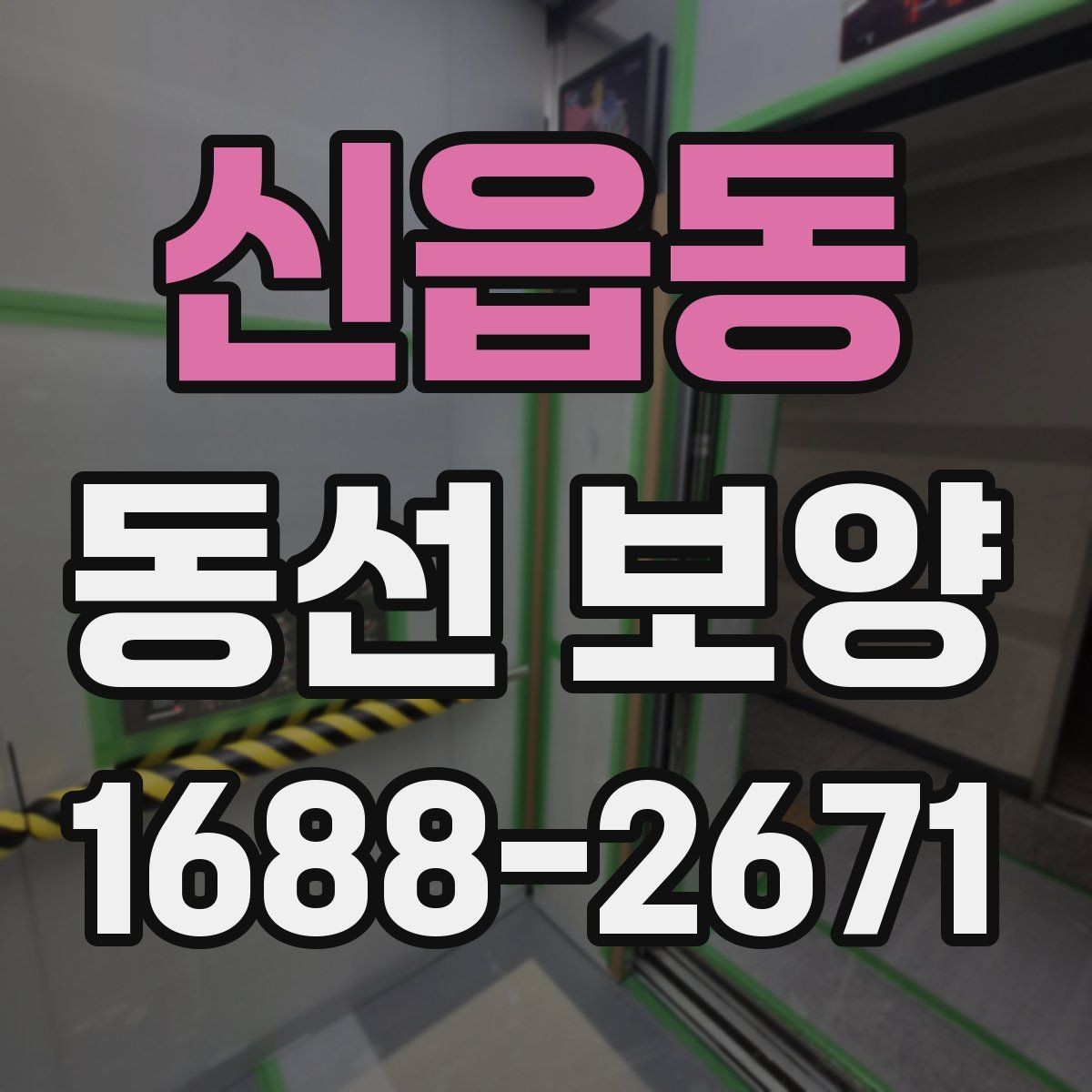 신읍동 동선 보양 비용을 절감할 때 주의할 점