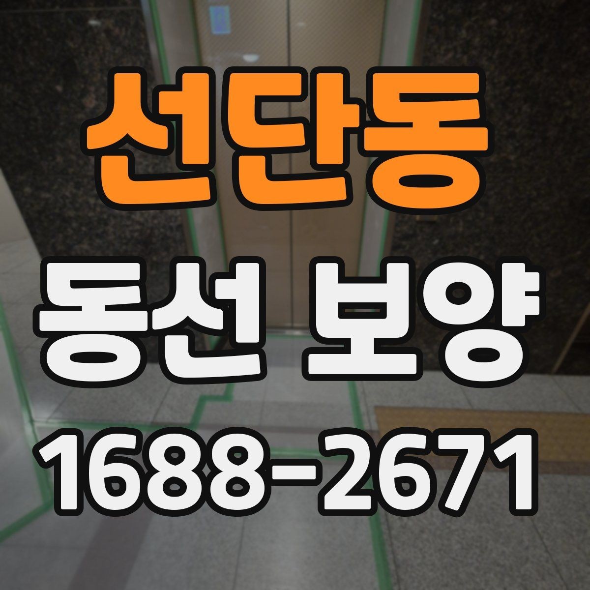 선단동 동선 보양 작업의 기본 개념과 적용 사례
