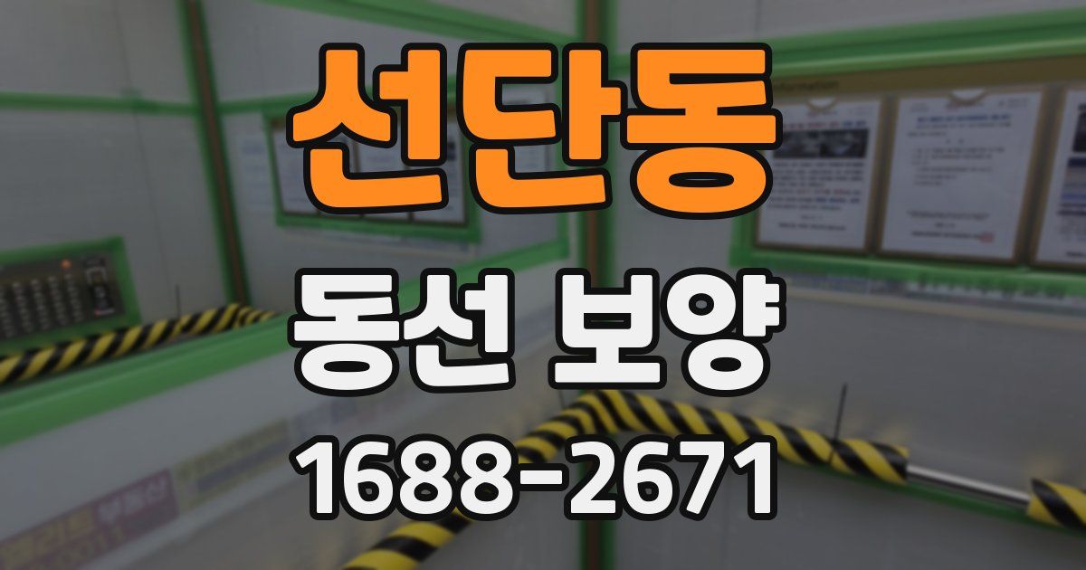선단동 동선 보양