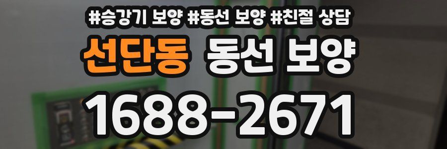 선단동 동선 보양