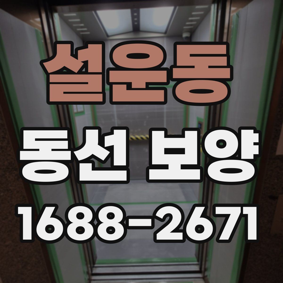 설운동 동선 보양 현장 사진으로 보는 시공 절차