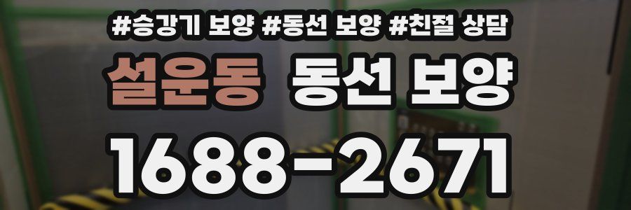설운동 동선 보양