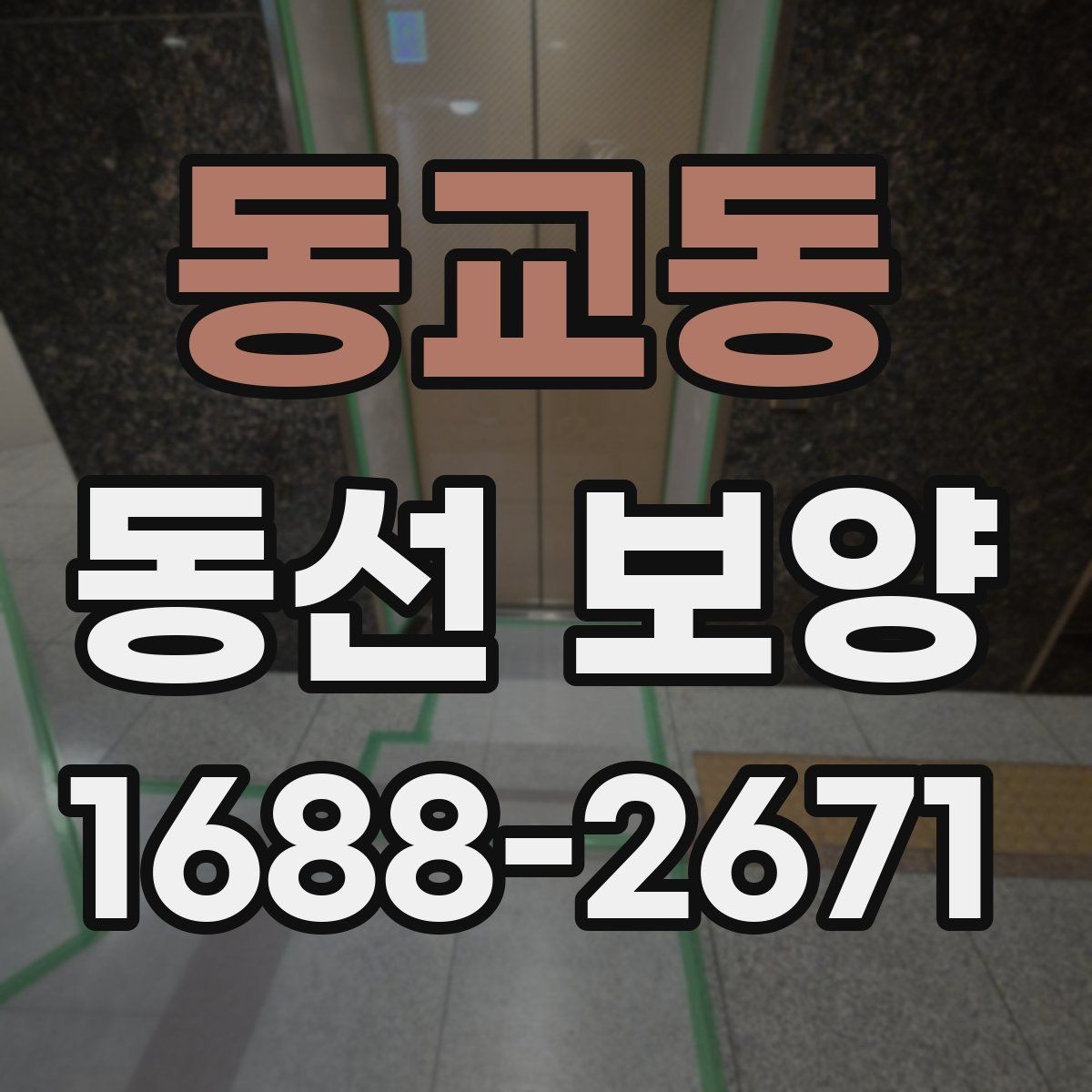 동교동 동선 보양 계획을 세울 때 고려할 요소