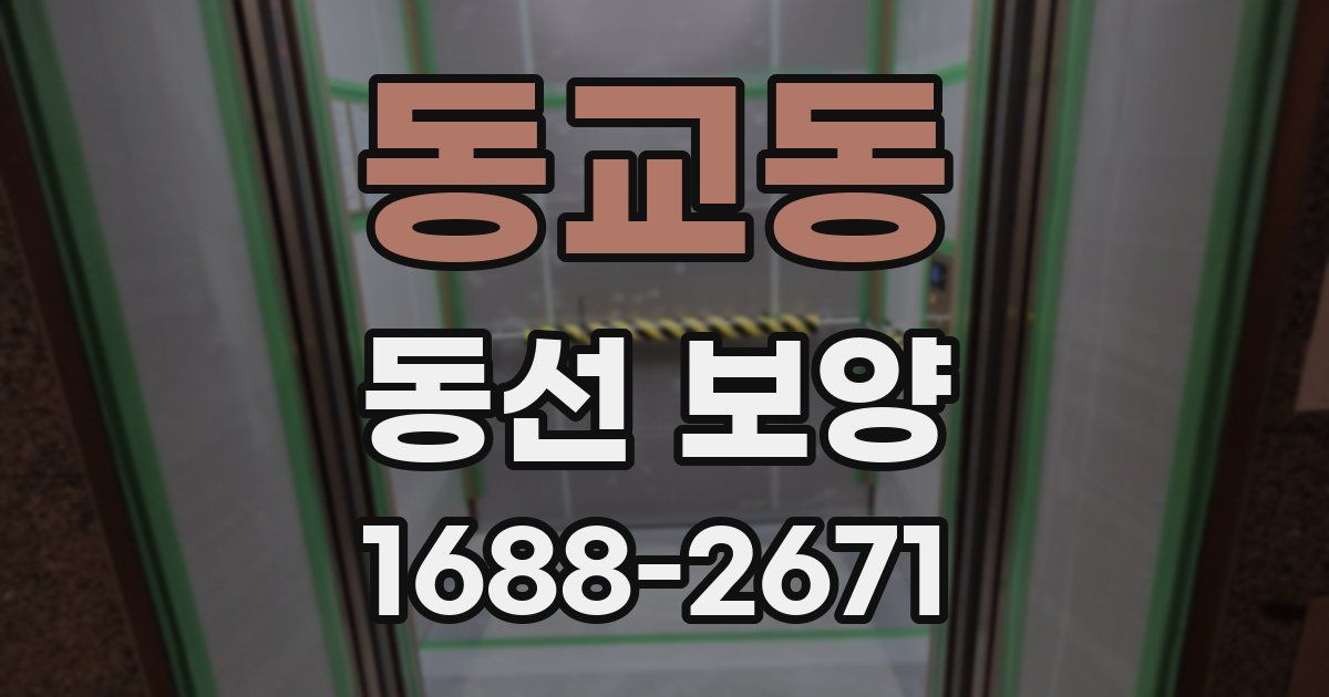 동교동 동선 보양