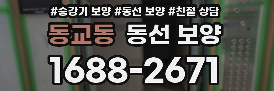 동교동 동선 보양