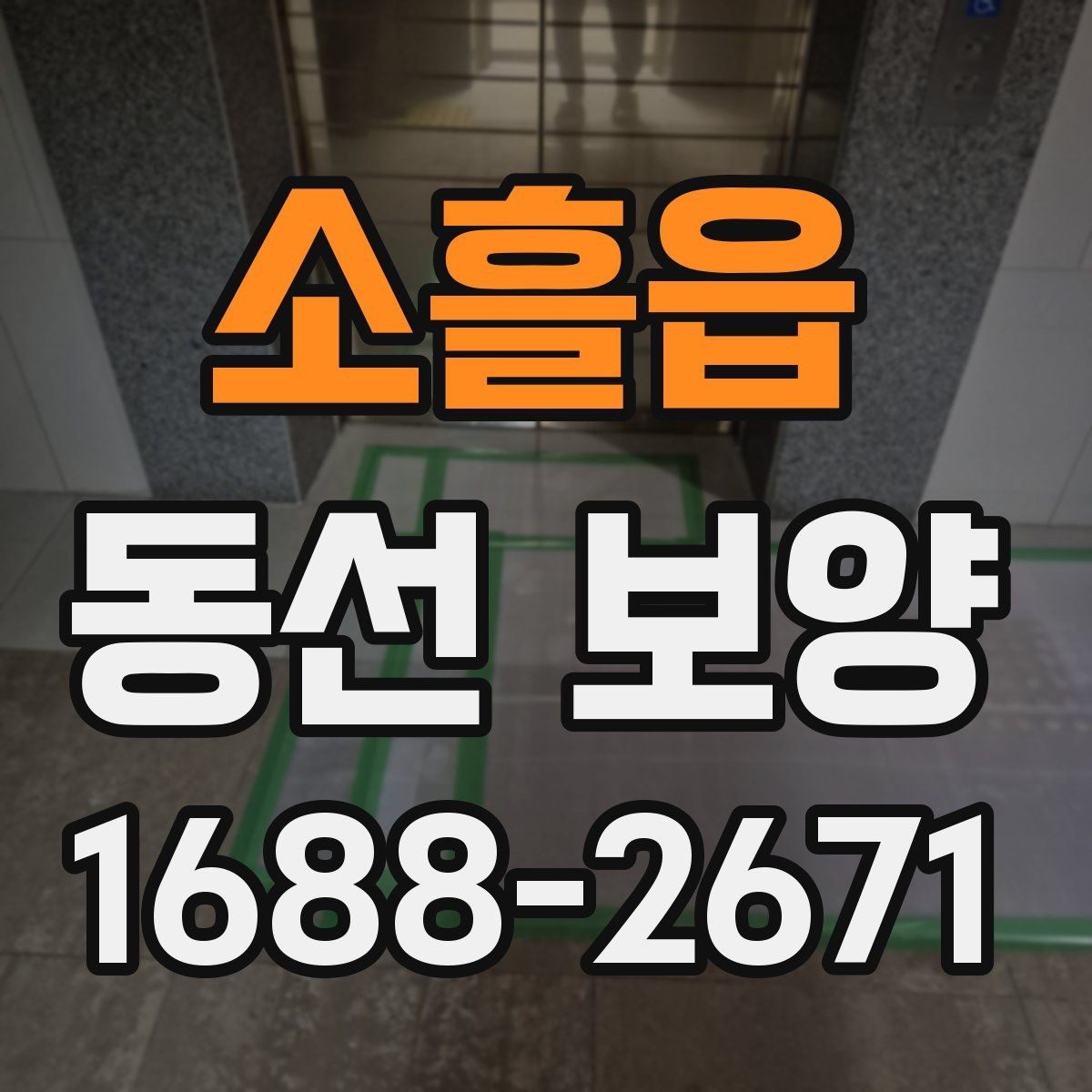 소흘읍 동선 보양 현장 사진으로 보는 진행 순서