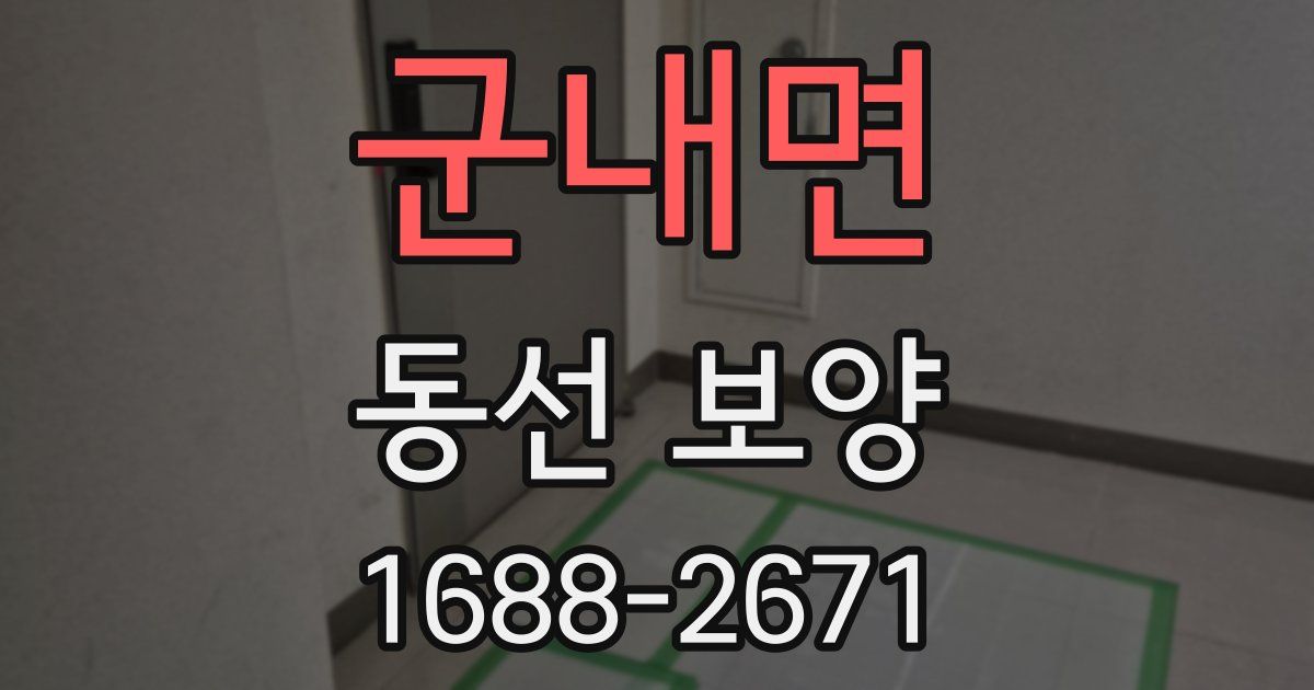 군내면 동선 보양