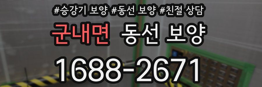 군내면 동선 보양