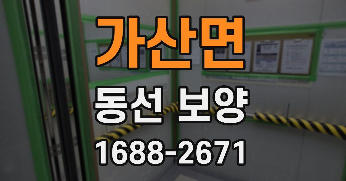 가산면 동선 보양