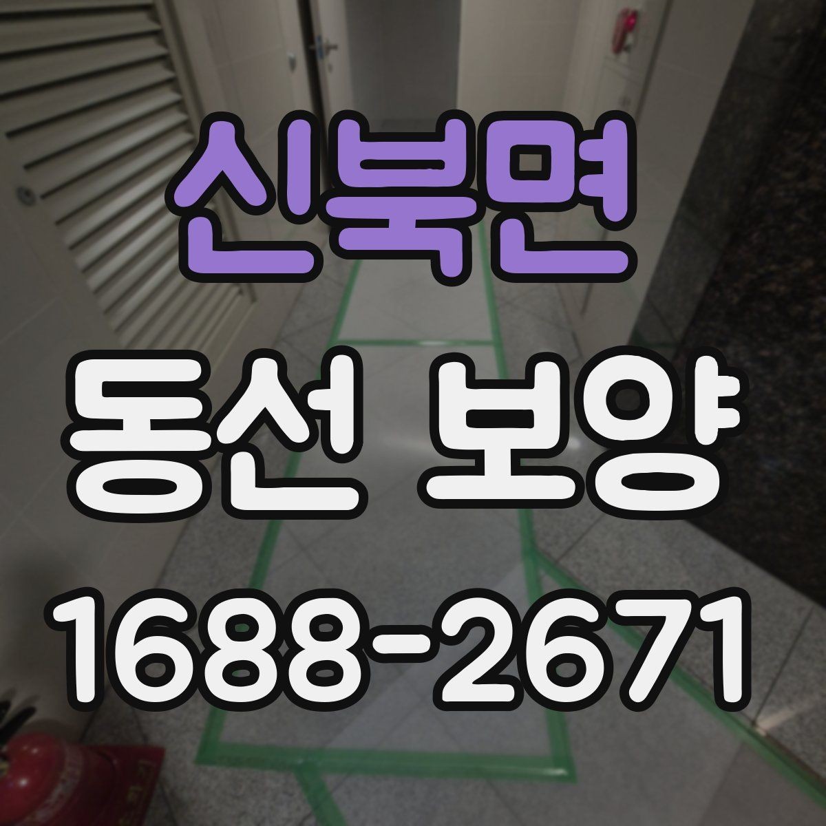 신북면 동선 보양 진행 전 협의해야 할 사항