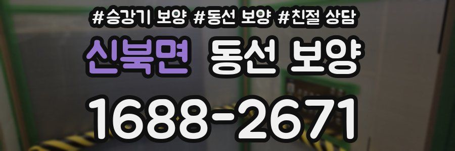 신북면 동선 보양