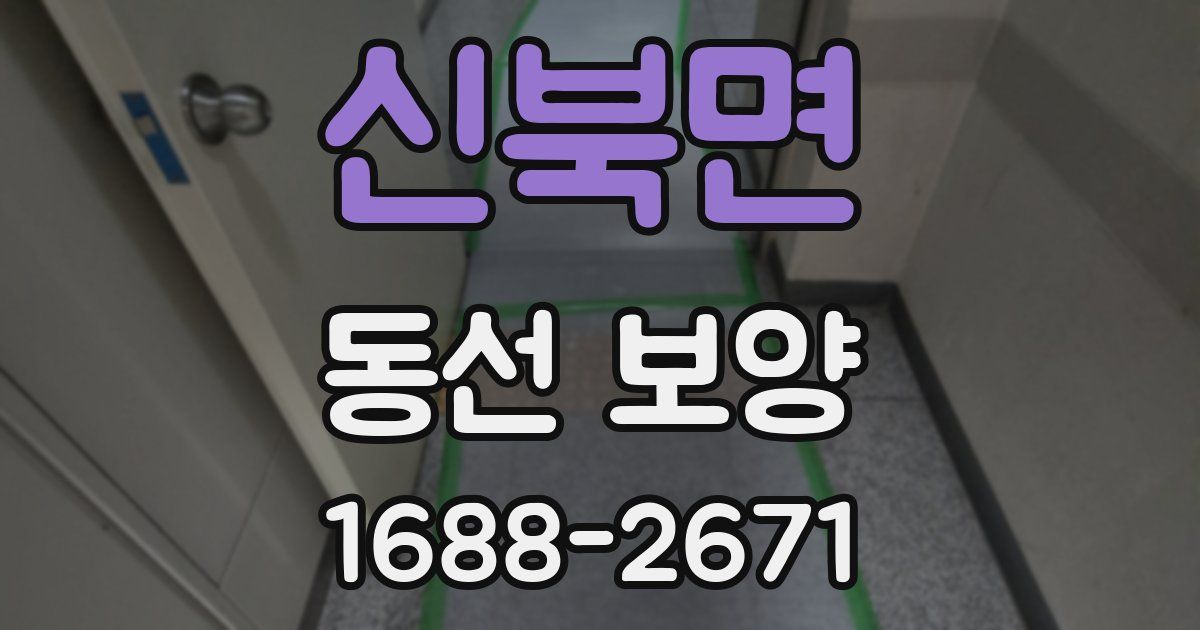 신북면 동선 보양
