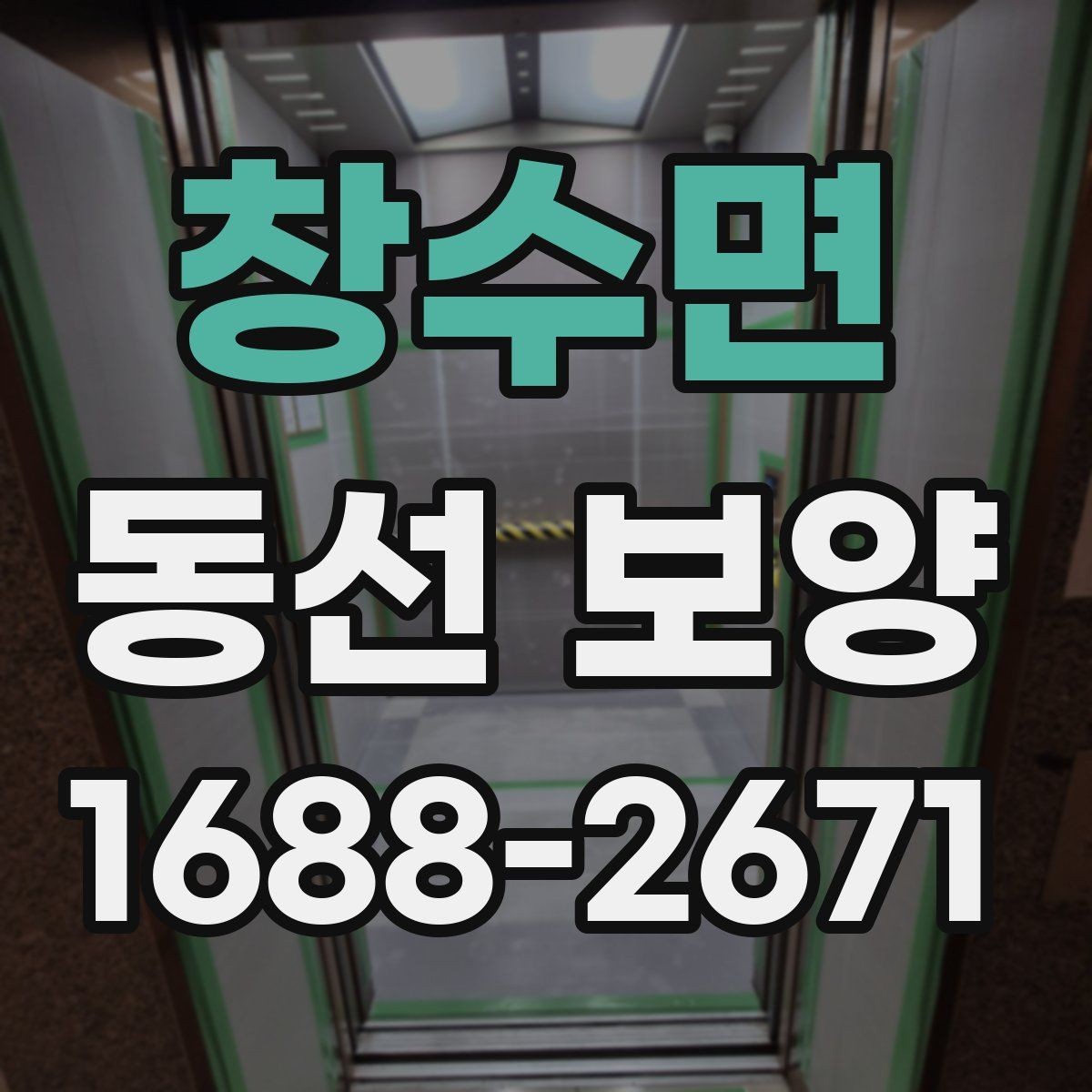 창수면 동선 보양 작업의 완성도를 높이는 관리법