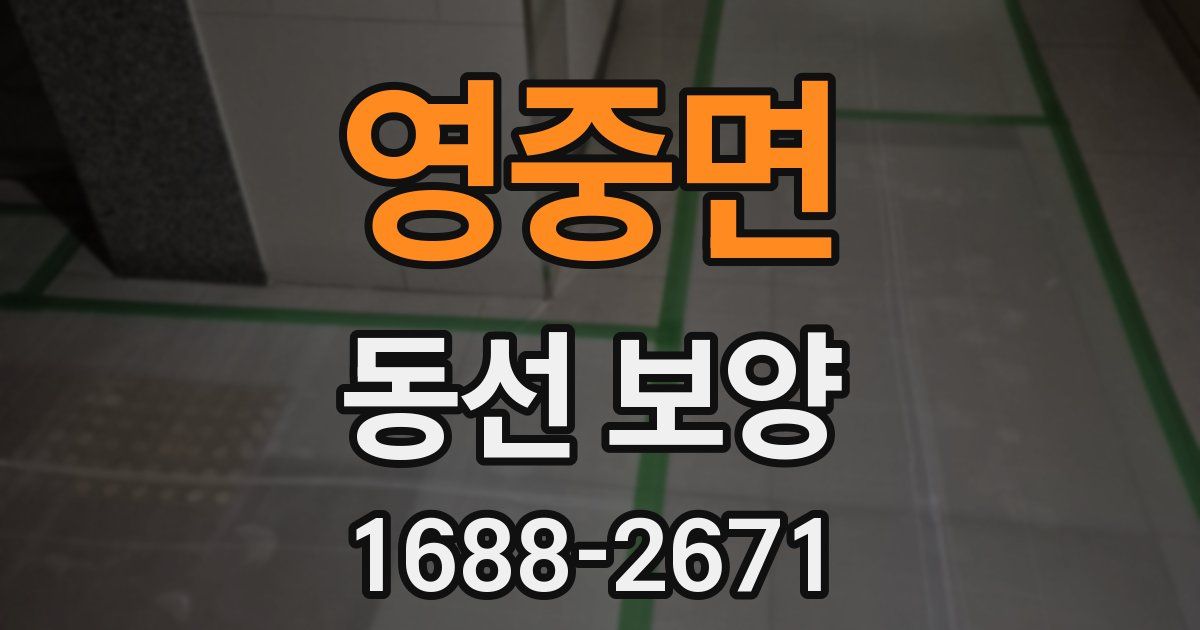 영중면 동선 보양