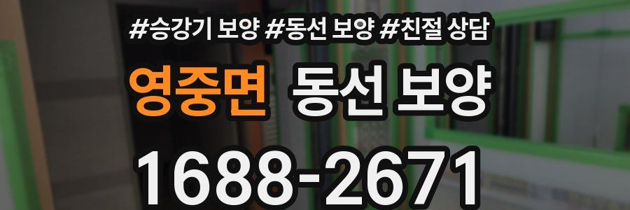 영중면 동선 보양