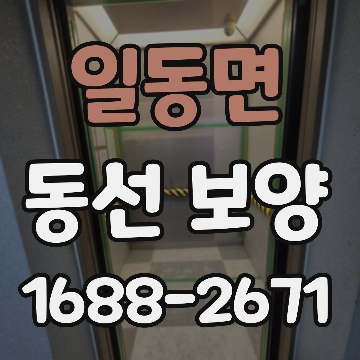 일동면 동선 보양 업체를 볼 때 확인할 기준