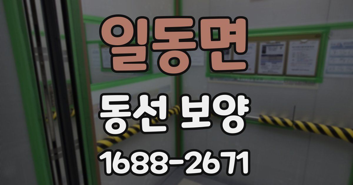 일동면 동선 보양