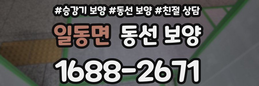 일동면 동선 보양