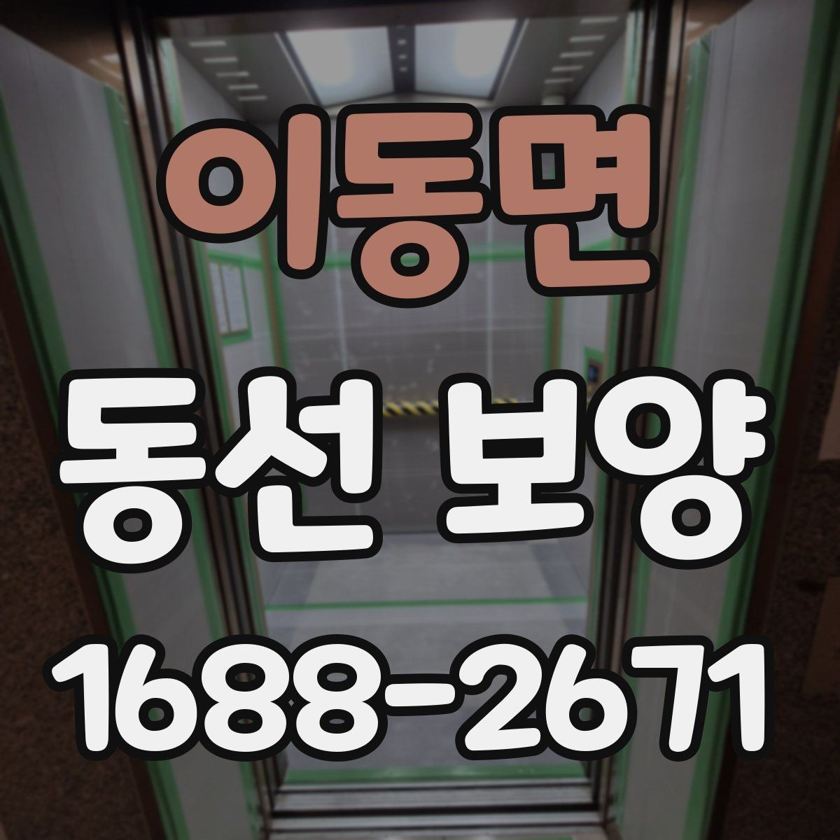 이동면 동선 보양 과정에서 생길 수 있는 문제와 대응