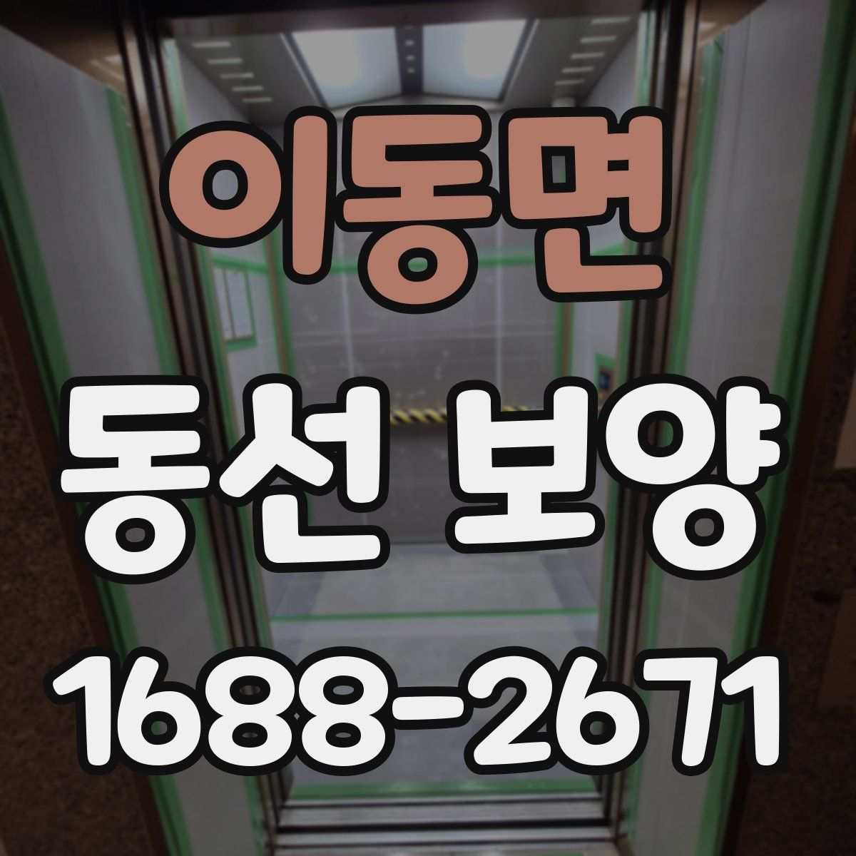 이동면 동선 보양