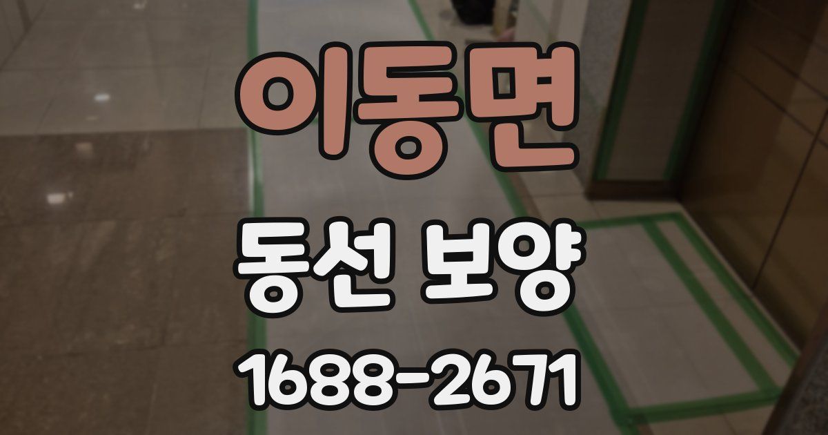 이동면 동선 보양