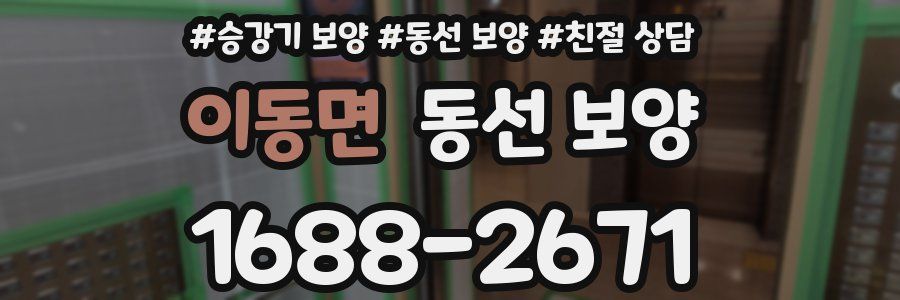 이동면 동선 보양