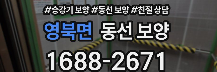 영북면 동선 보양