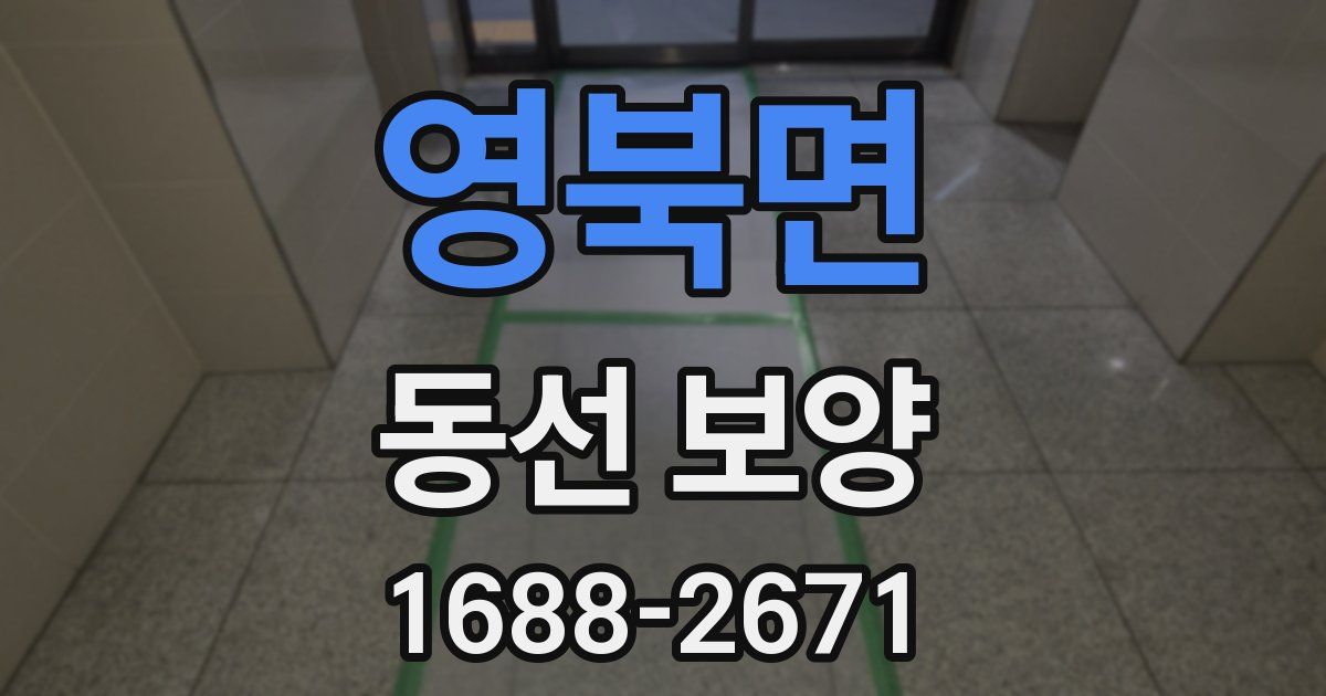 영북면 동선 보양