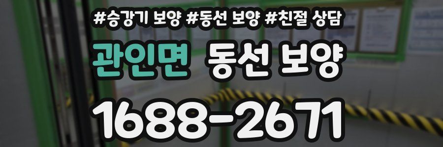 관인면 동선 보양