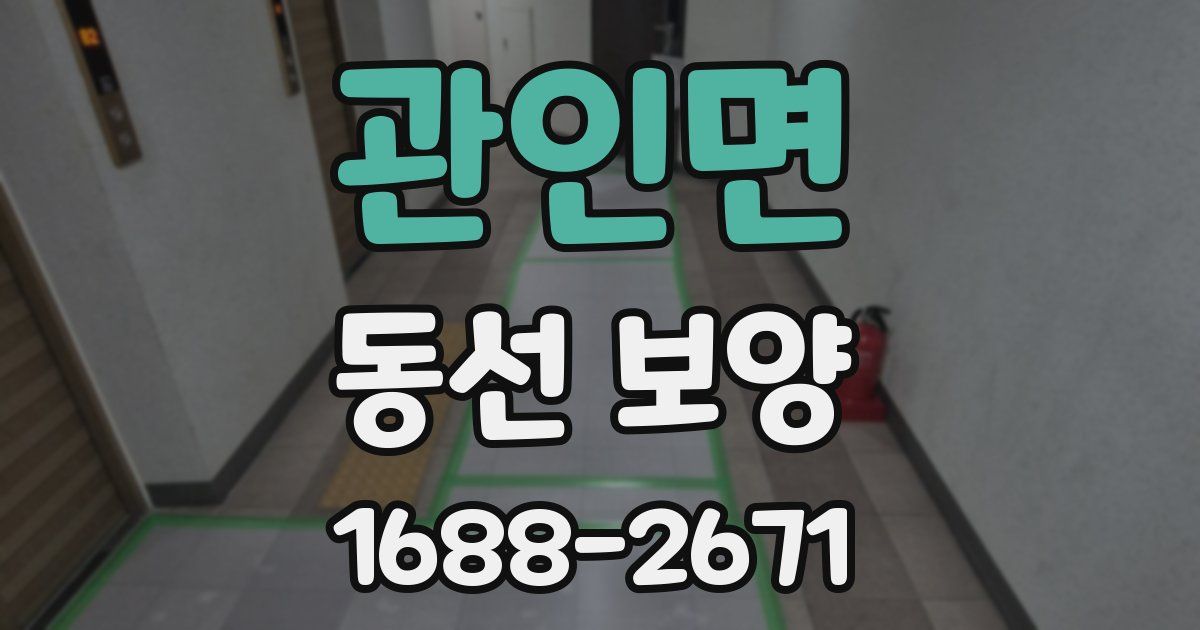 관인면 동선 보양