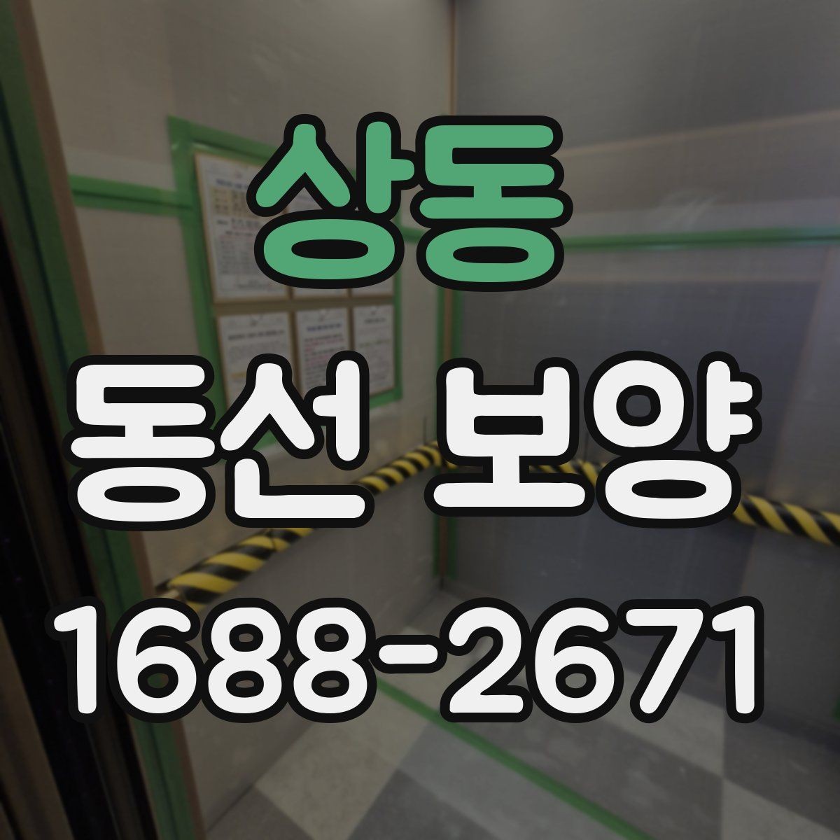 상동 동선 보양 공사 전에 미리 확인할 부분