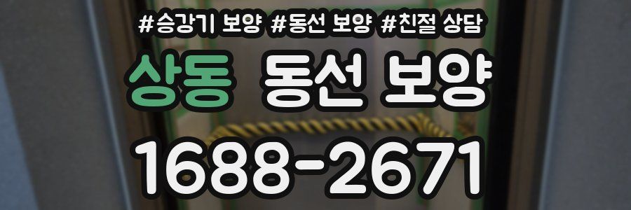 상동 동선 보양