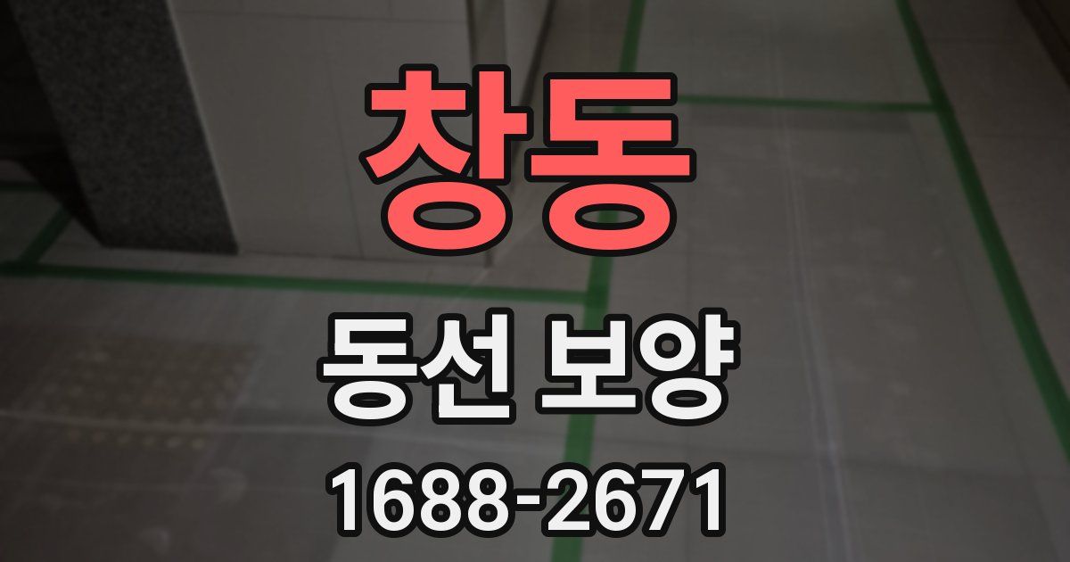 창동 동선 보양