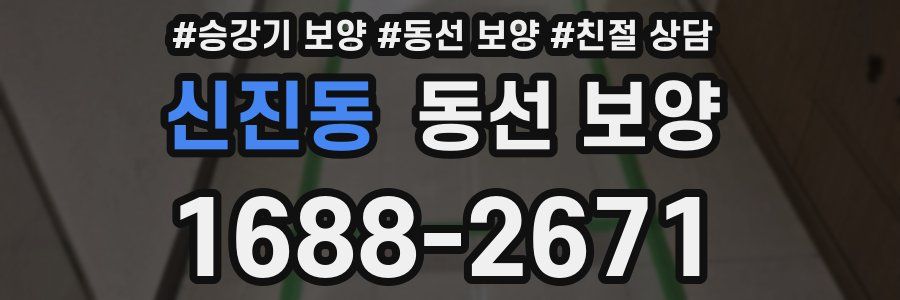 신진동 동선 보양