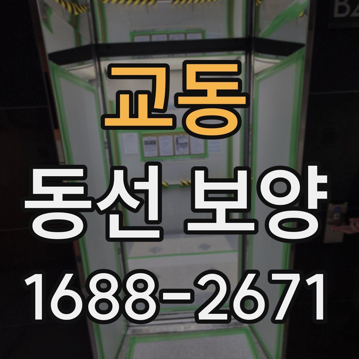 교동 동선 보양 작업이 필요한 이유와 시공 절차