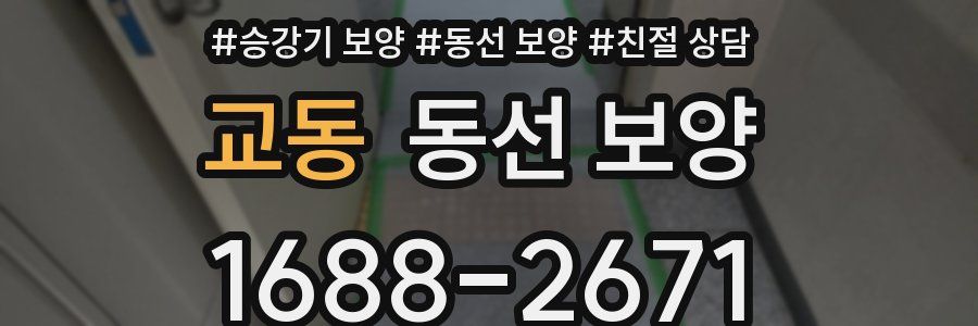 교동 동선 보양