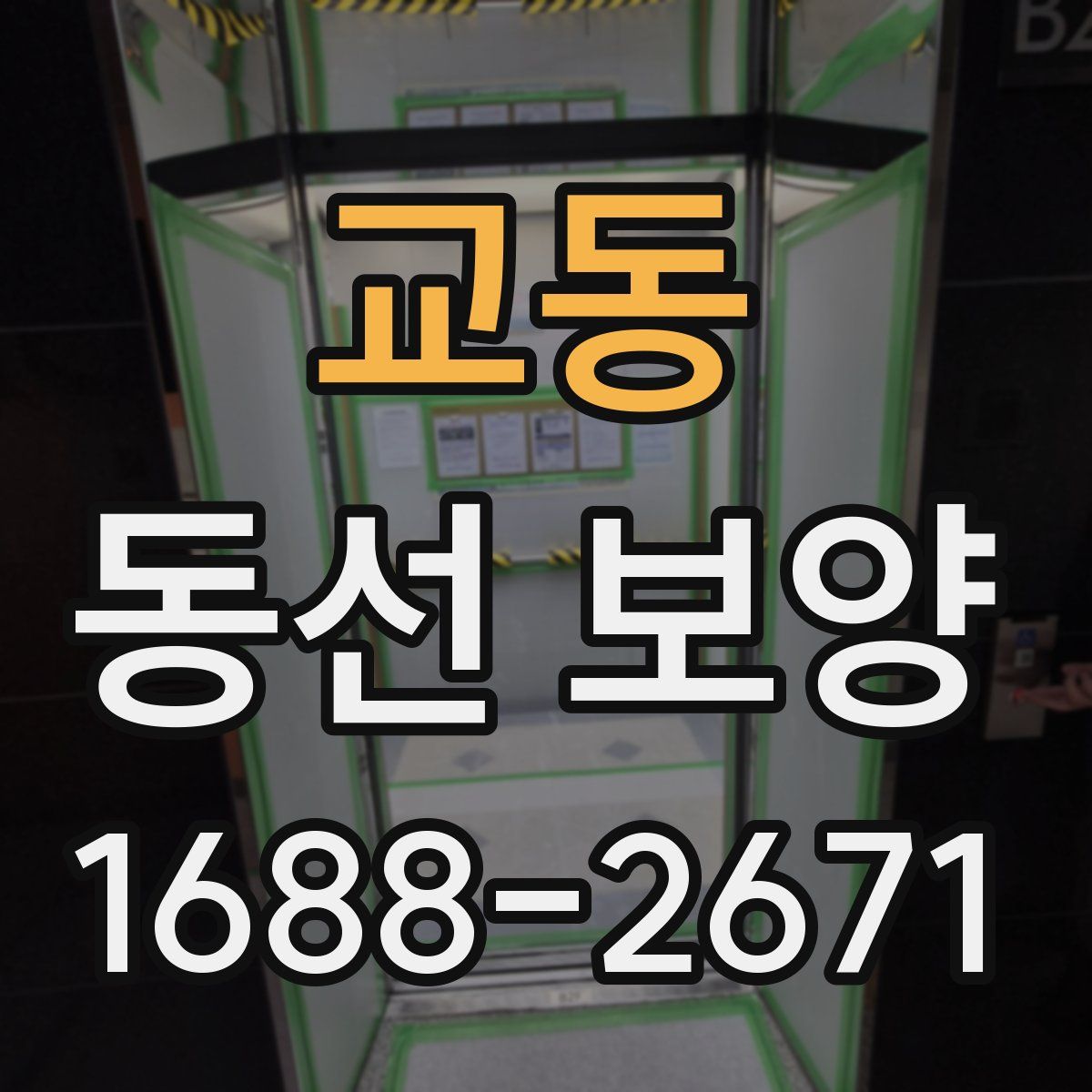 교동 동선 보양