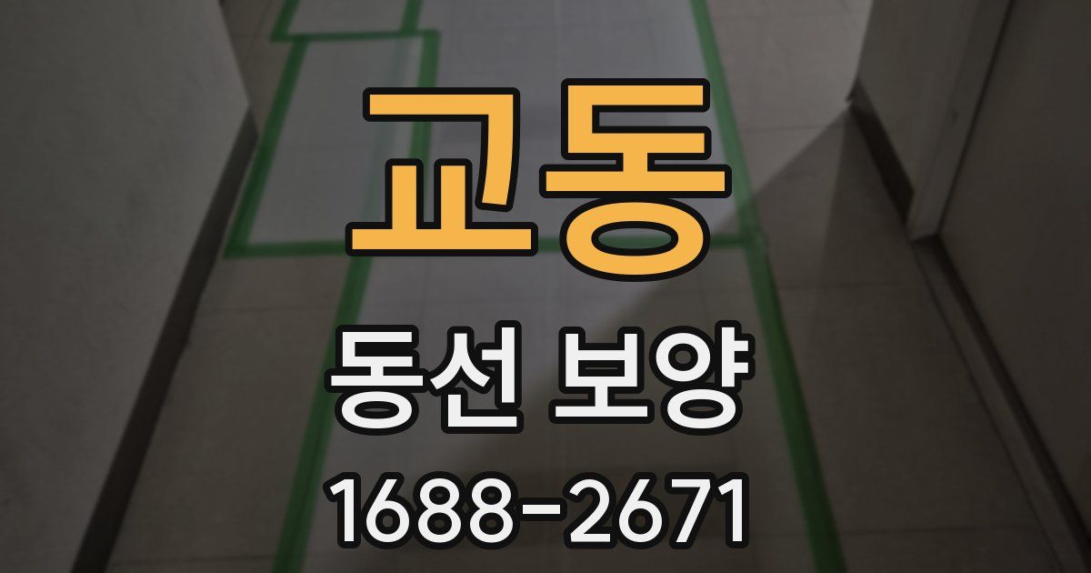 교동 동선 보양