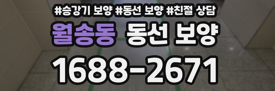 월송동 동선 보양
