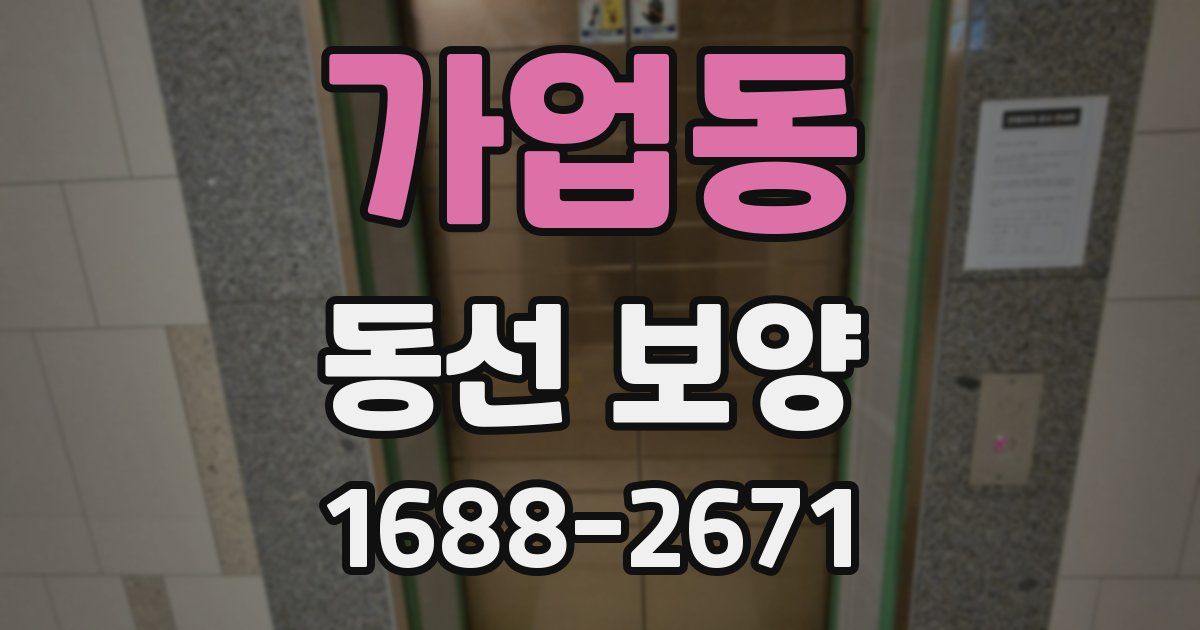 가업동 동선 보양