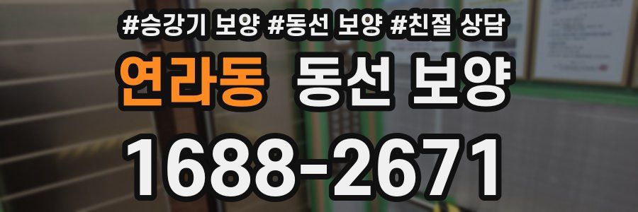 연라동 동선 보양