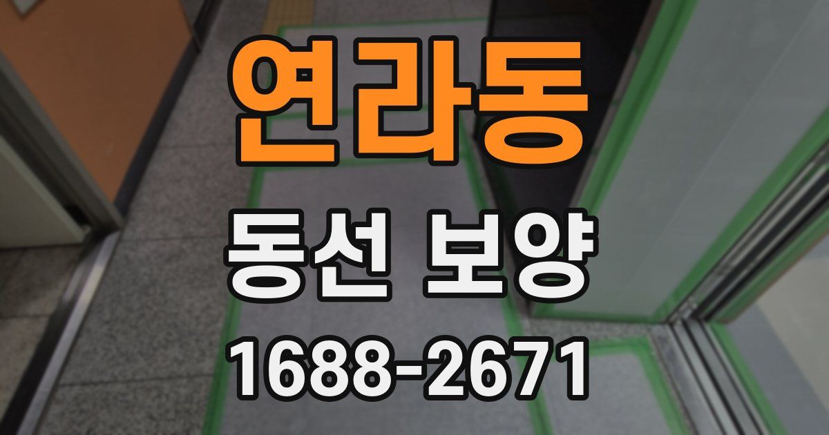 연라동 동선 보양